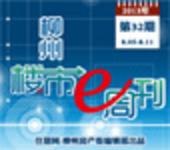 2013年柳州楼市e周刊第32期(8月5日-8月11日) 
