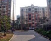 夏威夷豪庭踩盘：成熟生活圈里的宁静居所