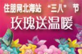 “魅力女人节 花开珠城”住朋网北海站“三八”节玫瑰送祝福