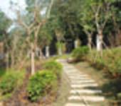 同和佳境一期11月工程进度 部分绿化已出炉