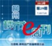 2013年柳州楼市e周刊第29期(7月15日-7月21日) 