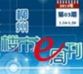 2013年柳州楼市e周刊第03期(1月14日-1月20日) 