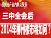 业内精英聚焦：三中全会后，来年柳州楼市将如何？