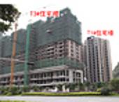 看房记：飞扬国际T1、T2#楼已交房 T3#楼复式均价4900元/㎡