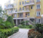 水天一龙湾初冬探寻-----小区里绿意依旧