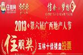 2013第六届广西地产人节住朋奖玉林十佳楼盘投票