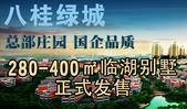 八桂绿城总部庄园国企品质 280-400㎡临湖别墅发售
