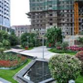 碧宸西海岸立体园林精美呈现 精装样板间华美绽放