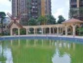 实探保利城：城南区**精装豪宅大城 年内入住做荷兰style城主