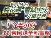 9月14日桃花源·香域中央开盘现场 1个半小时88套房源售罄