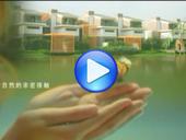 心的自由呼吸与自然亲密接触—中强·普罗旺斯广告欣赏