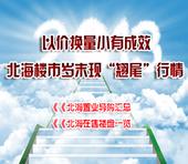 北海楼市2013年1月刊：以价换量小有成效 岁末现“翘尾”行情