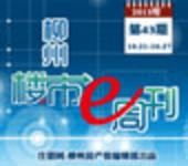 2013年柳州楼市e周刊第43期(10月21日-10月27日)