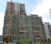 金色蓝庭脱去“绿衣'变淑女啦！