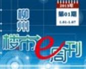 2013年柳州楼市e周刊第01期(1月1日-1月7日) 