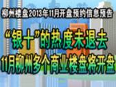 2013年11月柳州楼盘开盘预告打折优惠预告信息一览