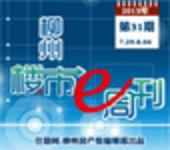 2013年柳州楼市e周刊第31期(7月29日-8月04日) 