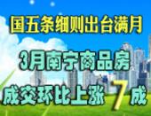 国五条细则出台满月 3月南宁商品房成交环比涨7成