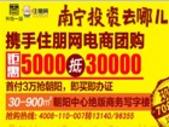 天成一品携手住朋电商预约3千抵5万