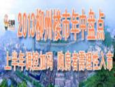 2013年年中盘点 上半年调控加码 购房者需理性入市