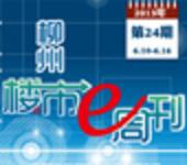 2013年柳州楼市e周刊第24期(6月10日-6月16日) 