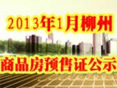 2013年1月柳州4个项目取得预售证 环比下降92.36%