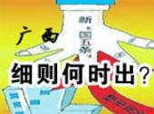 粤版新国五条细则率先落地 何时到广西？