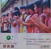 常青藤《爱心图书室》活动延续 做绿色社区*环保的业主