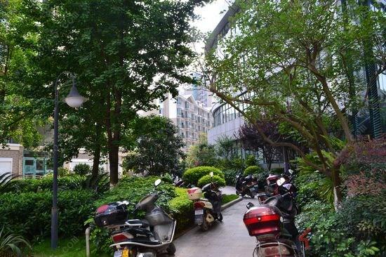 桂林奥林匹克绿化