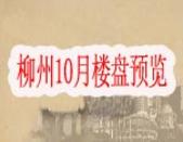 柳州楼市10月开盘、预约、行情表 “低泡”时代 时机正好