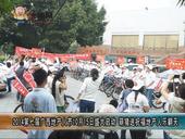 2014第七届广西地产人节10月15日盛大启动  萌猪送祝福地产人乐翻天