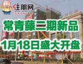 【专题】马到成功没悬念 常青藤二期开盘售罄再刮"*炫绿色风"