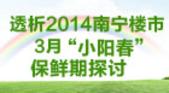【直播】透析2014南宁楼市 3月“小阳春”保鲜期探讨