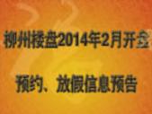 2014年02月柳州楼盘放假开盘打折优惠预告信息一览表