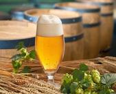 桂林恒大广场畅游欧洲之德国啤酒狂欢日即将**上演