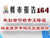楼市报告164期：年初南宁楼市不降温 楼盘推货市场反应良较好