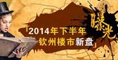 2014年下半年钦州楼市新盘汇总大曝光