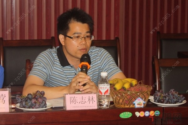 广西联邦伟业投资集团有限公司副总经理陈志林