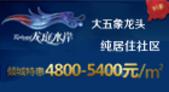 大五象龙头纯居住社区 龙庭水岸电商钜惠交5千享95折
