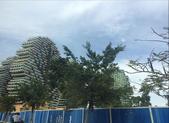海南现“大树”形状建筑 奇特造型格外亮眼