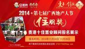 2014住朋奖“贵港十佳置业顾问”报名展示