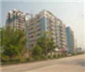 在那个靠近红树林的地方—清华蓝湾踩盘记