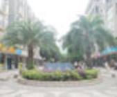 大社区好环境 国信凤起新都打造“绿色生活”典范