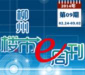 2014年柳州楼市e周刊第09期(02月24日-03月02日)