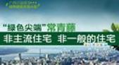 常青藤：南宁楼市非主流的“绿色建筑”