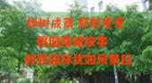 绿树成荫郁郁葱葱 碧园南城故事醇熟园林犹如风景区