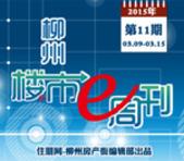 2015年柳州楼市e周刊第11期(03月09日-03月15日)