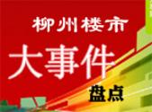 2014年柳州楼市大事件盘点 大房企陆续进驻柳州