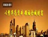 以繁华为资本 北部湾地王国际**全城财富