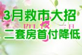 2015年柳州楼市报告3月刊：救市大招来袭 二套房首付将至4成